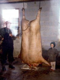 Pop and Jeff with a big hog